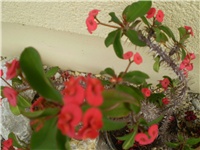 cac04979-Picture 366.jpg